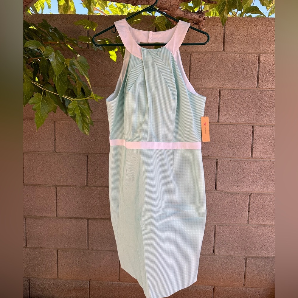 Mint & white dress.